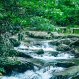 湘江文艺丨彭伟平：在盛夏