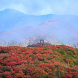 诗词大会作品丨《夏游大围山》《鹧鸪天·新农村》《新农村早市》《乡村即景(新韵)》《家乡成立农业合作社》