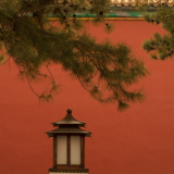 湘江文艺丨桂爱广：向左，向右（中篇小说）