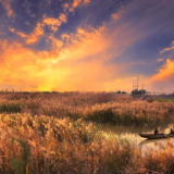 生态文学丨廖静仁：重走纤道（节选）