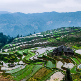 生态文学丨黄亮斌：大灵山探源