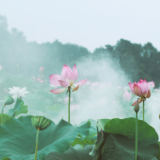 专栏丨李少君：天涌光鲜色，挥毫绘彩虹