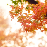 随笔丨张毅龙：于时光静处品读人生