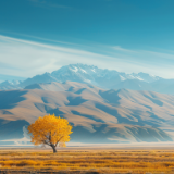 诗歌丨欧阳斌：大地慈悲（组诗）