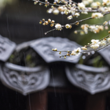 散文丨马珂:旧时光