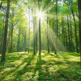 芙蓉·小说丨郭雪波：菩提树