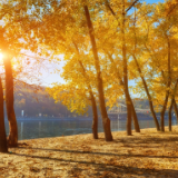 诗歌丨刘晓平：秋露湿了庭院的台阶