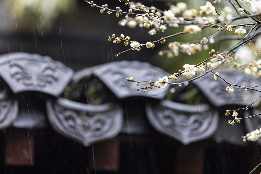 千库网_杭州 古风 下雨天 屋檐 梅花_摄影图编号21127030_副本.jpg 千库网_杭州 古风 下雨天 屋檐 梅花_摄影图编号21127030_副本.jpg