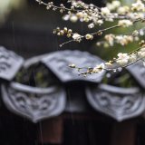 芙蓉·小说丨冉正万:复兴巷