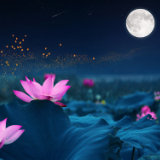 诗歌时刻丨李燕子：月光潜入院落里，泼出一地藻荇交横