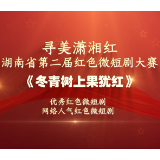 红色微短剧精彩片段｜《冬青树上果犹红》：断肠明志血染冬青