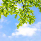 随笔丨张毅龙：觅一处城央桃源，享一刻自在清欢