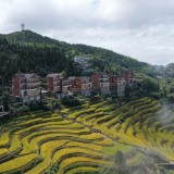 文艺大咖怀化行丨吴茂盛：五溪——如歌的行板