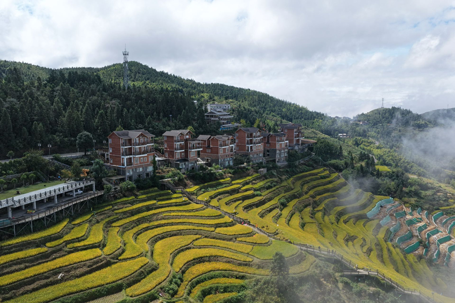 微信图片_20251009095151_7273_69.jpg