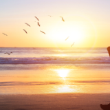 诗歌时刻丨李自国:他们就像是晨光举起的巨浪与潮汐