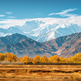 芙蓉·散文丨胡启明：植物记