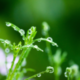 诗歌时刻丨四叶草诗人:一阵风吹过来,我是那个漏风的缺口