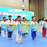 体教融合育新苗 全省1172名跆拳少年宁乡竞逐