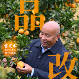 最是麻阳甜蜜时①丨雷定水:品改万亩橘园,让山果变“金”果