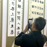 罗健中医药文化传播书法作品展在湖南省展览馆开幕