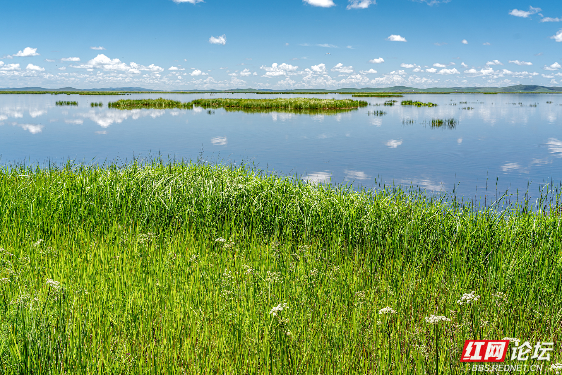 迷底摄影花湖3.jpg 迷底摄影花湖3.jpg