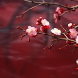 李巧伟:中华礼乐文化的美育逻辑及其实施路径