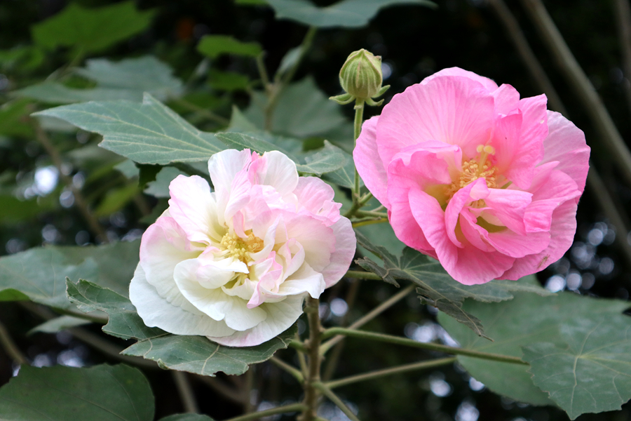 微信图片_20251121163338_1448_263.jpg 微信图片_20251121163338_1448_263.jpg