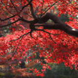 散文丨盛敏:途中四季