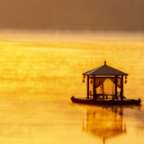 生态文学丨李星吾:冶湖重生