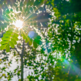 贺予飞:论网络文学的强国叙事