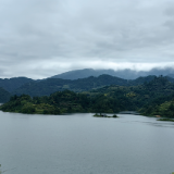 生态文学丨麻胜斌：送酉水