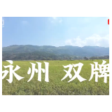 2025年双牌县“金牌讲解员”展播丨《40℃太热？来双牌，22℃刚刚好！》