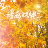 2025年双牌县“金牌讲解员”展播丨《山水间的千年絮语》