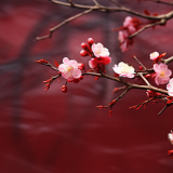 芙蓉·小说丨辽京:红头发姑奶奶的旅行见闻