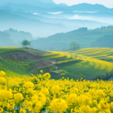 散文丨胡晓江:春秋几何