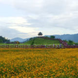 2025年双牌县“金牌讲解员”展播丨《打卡花千谷》