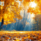 散文丨陈焉：只有秋声最好听