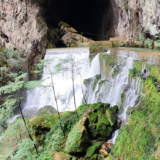 生态文学丨尚勇：酉水源拾秋