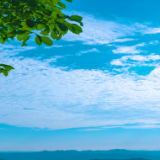 随笔丨洪樱:物之所归,心之所栖