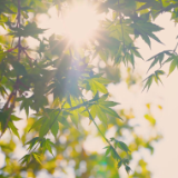 散文丨胡勇平、曾令娥:祝融曰