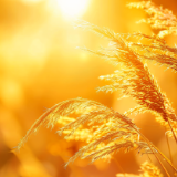 芙蓉·小说丨薛舒：广场KTV