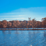 芙蓉·小说丨李铁：运行女