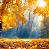 芙蓉·小说丨邓刚：情感啊情感