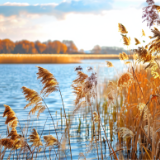 诗歌时刻丨刘念：黄陂的晨光里，日子是柴米油盐的实在，也是纸笔情长的温柔