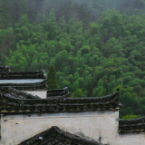 随笔丨张毅龙：古卷寒烟渡