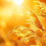 散文丨史永珂：母亲想要一封信