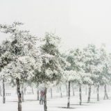 诗词丨黄小常：遥望烟波一叶舟，斜阳抖落洞庭秋