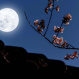 陈征宇:以小博大实现剧游联动——《带你走进月亮里》