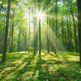 诗歌时刻丨Angel.XJ:在聆听还是在寻找,在我们之间走失了的那只羊