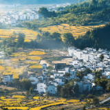 文为心声,文当寓情——许云锦先生散文赏析